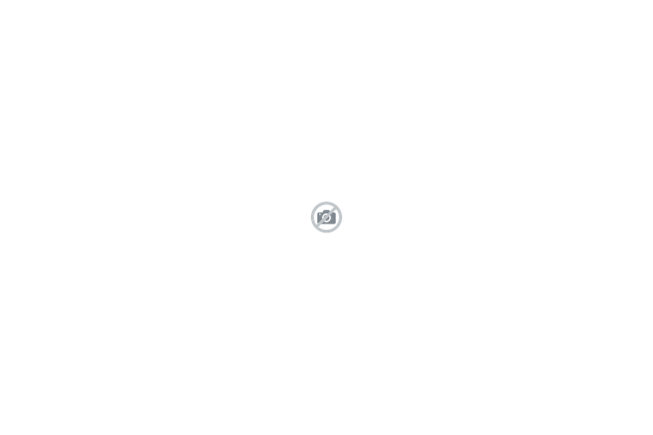 Disclaimer actiune remat